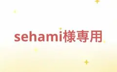 専用ページ