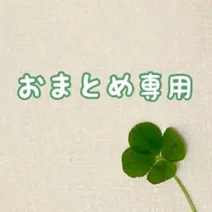 りゅせ様専用　アイロンワッペン 星 ☆ 白　６枚セット×3