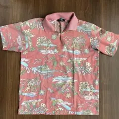 Item thumbnail for item 74f89cd7-c1f2-487b-be59-ccb045c4648c