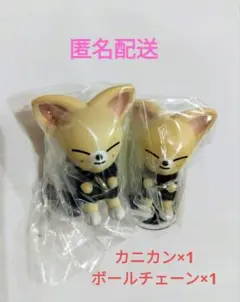 SKZOO つまんでつなげてますこっと でらっくす！　FoxI.Ny2点セット