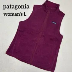 【高品質】patagonia ベターセーターフルジップアップベスト美品メランジ柄