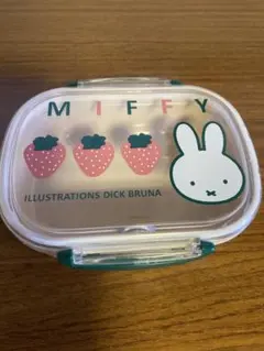 Item thumbnail for item 9588bc4f-939a-45f1-baba-c6b85bdeba60