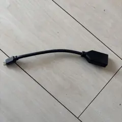 映像変換アダプタ [miniDisplayPort →メスDisplayPort