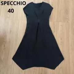 SPECCHIO スペッチオ　シャトル　プリーツ　ワンピース　チュニック　40のサムネイル