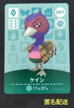 057　ケイン　ダチョウ　amiibo　あつまれどうぶつの森　匿名配送