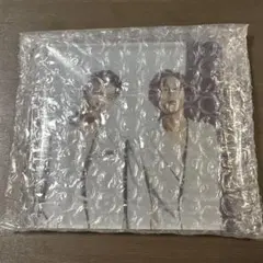 Item thumbnail for item 8a160224-7cd9-4f1e-b308-613dfc35d4bb