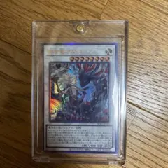 遊戯王OCG エクシクルカード ATK2525 DEF2500