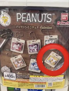 PEANUTS パッケージミニチュアコレクション