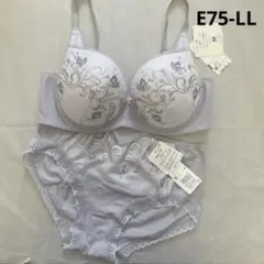 Item thumbnail for item b3ac13c1-ad99-4d0c-9861-0f95056a8ba6