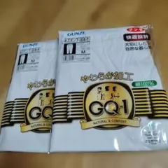 GUNZE GQ-1 メンズ 半ズボン下 前あき Mサイズ 2枚セット