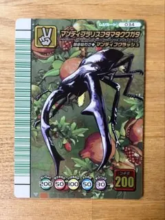 2026年最新】マンディブラリスフタマタクワガタ5周年の人気アイテム