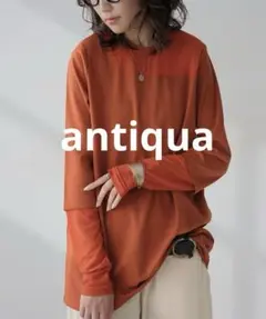 antiqua シアー切り替えトップス ロンT レディース 長袖