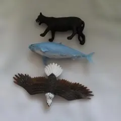 スーパーアニマル&co. 3体まとめ売り