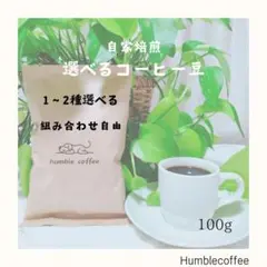 自家焙煎　選べるコーヒー豆　100g or 100g(50g×2袋)送料無料