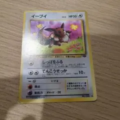ポケモンカード イーブイ HP50 2枚セット 旧裏 - メルカリ