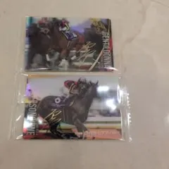 サラブレッドホース3R ジェンティルドンナ・ソングライン