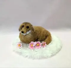 羊毛フェルト　ミニチュアダックスフンド　犬