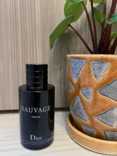 Dior Sauvage Parfum 100ml
