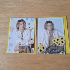 FANTASTICS 瀬口黎弥☆SUNFLOWERフォトカード2枚他10点セット