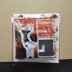 ☆ハイキュー アクリル X フィギュア コレクション 木下久志