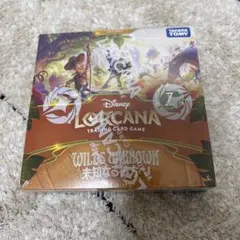 Disney Lorcana 未知なる彼方へ ブースターパック 未開封 1BOX | Mercari