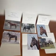 競走馬 写真セット　６枚