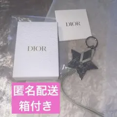 Dior スターキーホルダー 星　チャーム　ノベルティ 限定チャーム