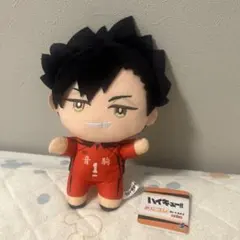 ハイキュー みにコレ ぬいぐるみ2 黒尾鉄朗