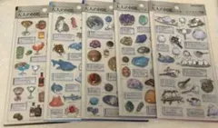 3D大人の図鑑シール カクテル編 海洋生物編 天体編 鉱物編 シマエナガ編