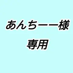 あんちーー（娘の推し活応援中）様専用ページ