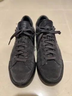 Item thumbnail for item c42555a5-b301-43ef-a3ee-0842ed73fc89