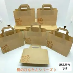 【手作り】猫のひなたんミニギフトバック