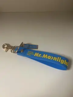THE ALFEE 2026夏イベ Mr. Moonlight キーホルダー - メルカリ