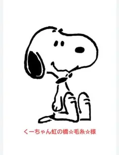 専用です。