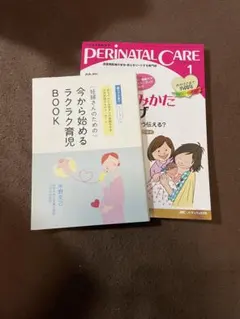 Item thumbnail for item 82ecc95d-760b-4a2e-8999-f7c069563b5f