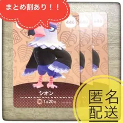 【匿名配送】440 シオン　残2 あつ森　とび森　どうぶつの森　amiibo