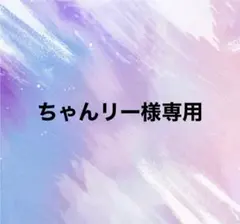ちゃんリー様専用
