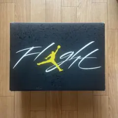 Nike Air Jordan 4 Retro "Thunder"のサムネイル