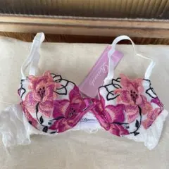 Reinest A65ブラジャーTバックセット