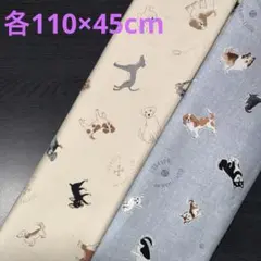 Item thumbnail for item 4c04a094-e658-4bb6-991d-9138c2f5e643