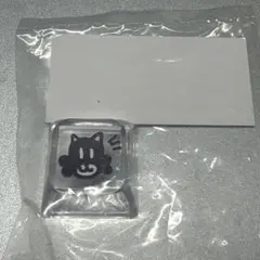 NCT NEO DIMENSION KEY CAP キーキャップ テン ten