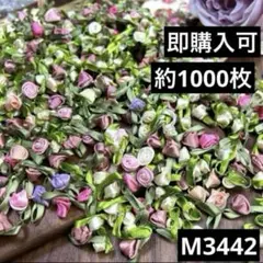 Item thumbnail for item 4cbf834d-403a-4375-9d9f-5d3d23755227