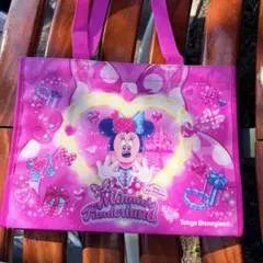 ミニー パルパルーザ トートバッグ ファンダーランド ディズニー