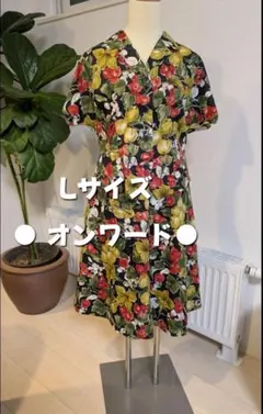 Item thumbnail for item 3d20a8e5-df64-4854-8ba5-714cd1a51d19