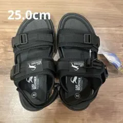 Item thumbnail for item 483544bf-9b90-449b-849d-51163e0b952d