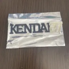 元謙太 コロチャレ ビッグネームキーホルダー