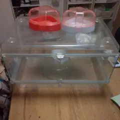 小動物用 クリアケージ 回し車付き