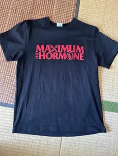 2026年最新】マキシマムザ tシャツの人気アイテム - メルカリ