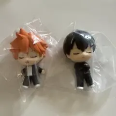 ハイキュー ねむらせ隊 日向翔陽 影山飛雄