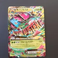 フシギバナEX XY BREAK ポケットモンスターカードゲーム スターターパ… フシギバナEX XY BREAK ポケットモンスターカードゲーム スターターパ